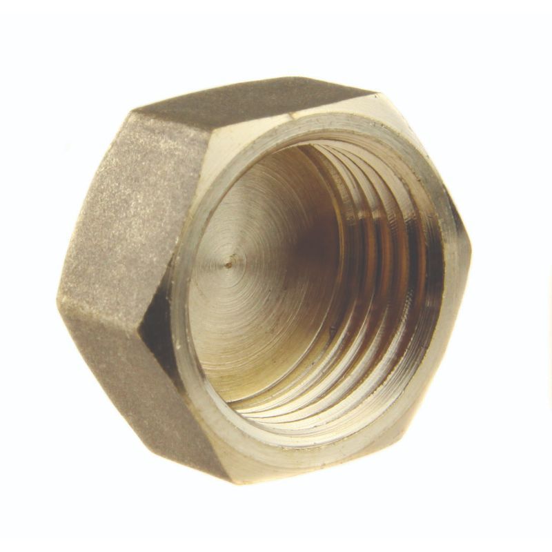 Brass Threaded Blank Cap Threaded Pipe Fittings TYDE
